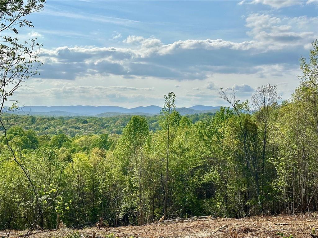 6.7 View Drive, Dahlonega, Georgia image 2
