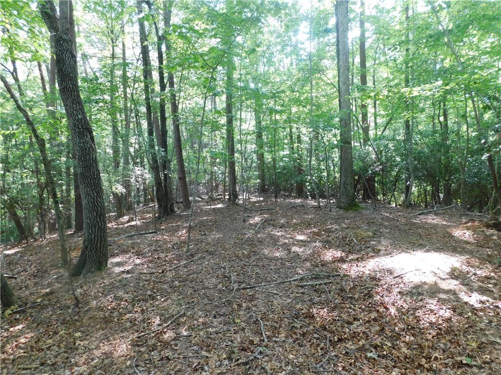 Tucked away in a peaceful, wooded setting, this 5.10-acre tract offers the ideal balance of privacy, beauty, and readiness for your future build. Towering mature hardwoods surround a cleared, slab-ready building site, providing a picturesque backdrop for your dream home or retreat. The property comes with an updated plat, completed soil tests, and a partially installed driveway already in place. Power will be brought to the property line, making the development process even smoother. Enjoy the quiet and seclusion of the countryside without sacrificing convenience—this property offers easy access to Dahlonega, the University of North Georgia, and GA 400, making it both a private escape and a practical location.