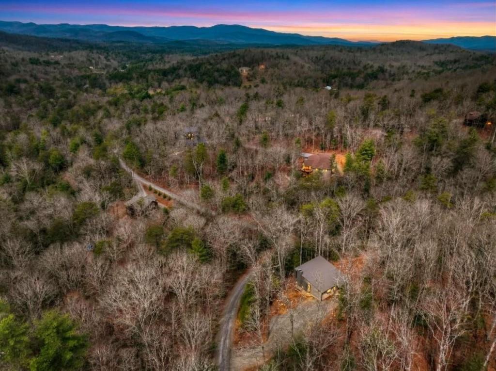 171 Cohutta Overlook Lane