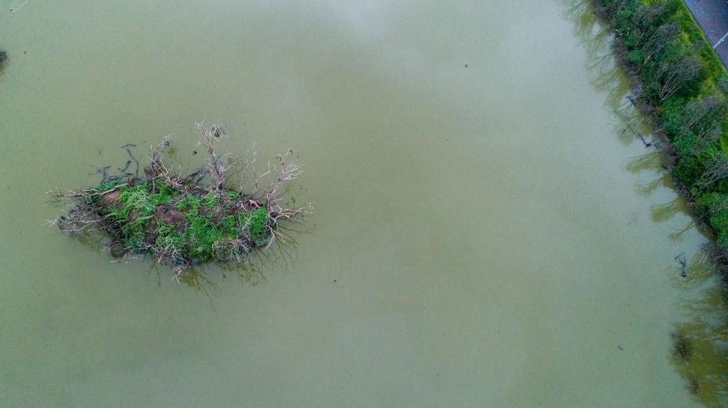 0 Bordo Grande y Milpa del Pino