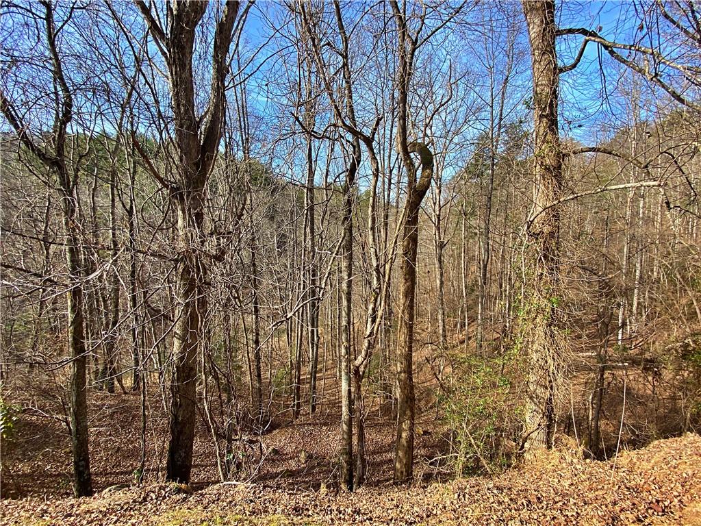 Lot 150 Sky Country Rd, Dahlonega, Georgia image 6