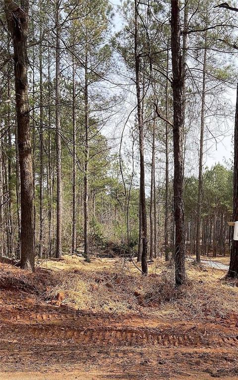 Photo 1 of 3 — LOT 4 Jaxon Path, Dallas, GA 30157