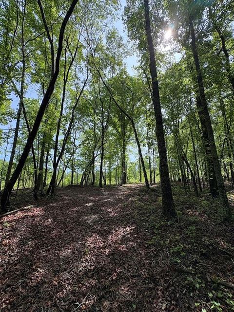Vacant Land For Sale - Roy Dean Road<br/> Buchanan, GA 30113