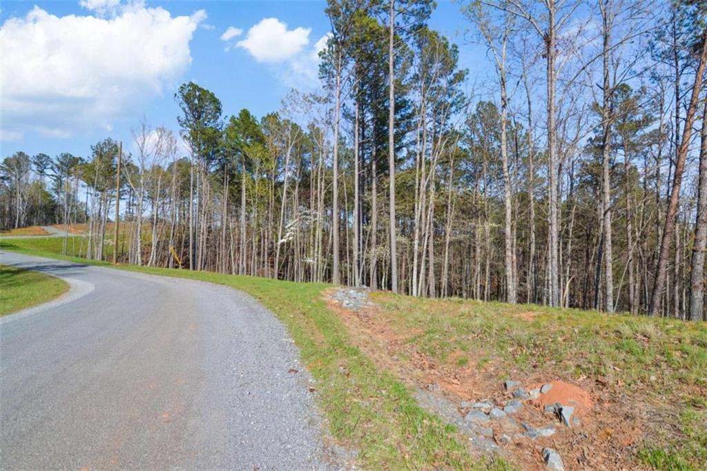 LT 103 Blalock Mountain Rd, Talking Rock, Georgia image 18