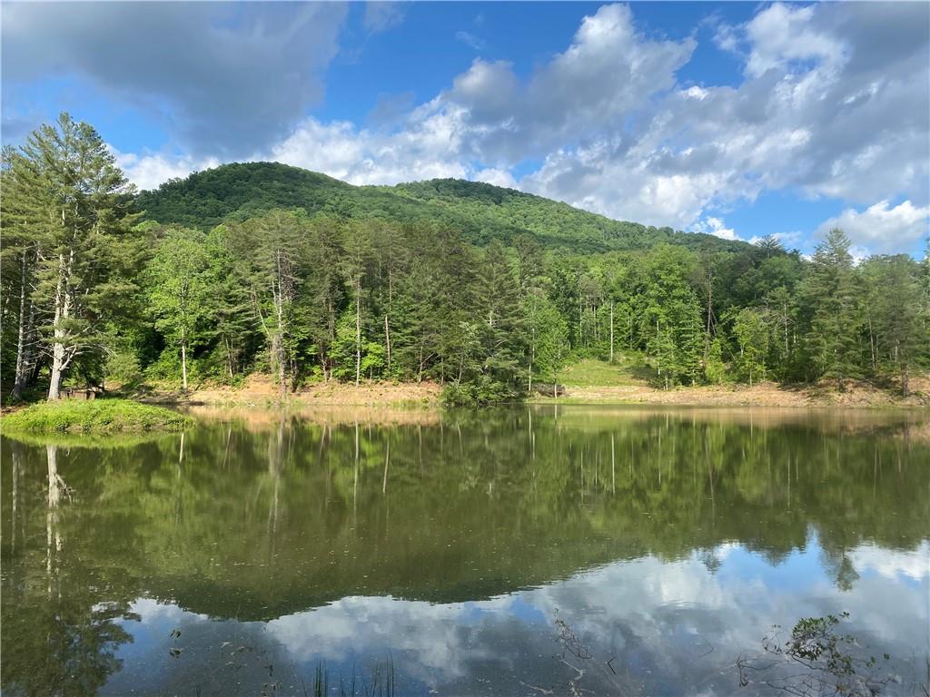 1941 Old Northcutt Road, Ellijay, Georgia image 3