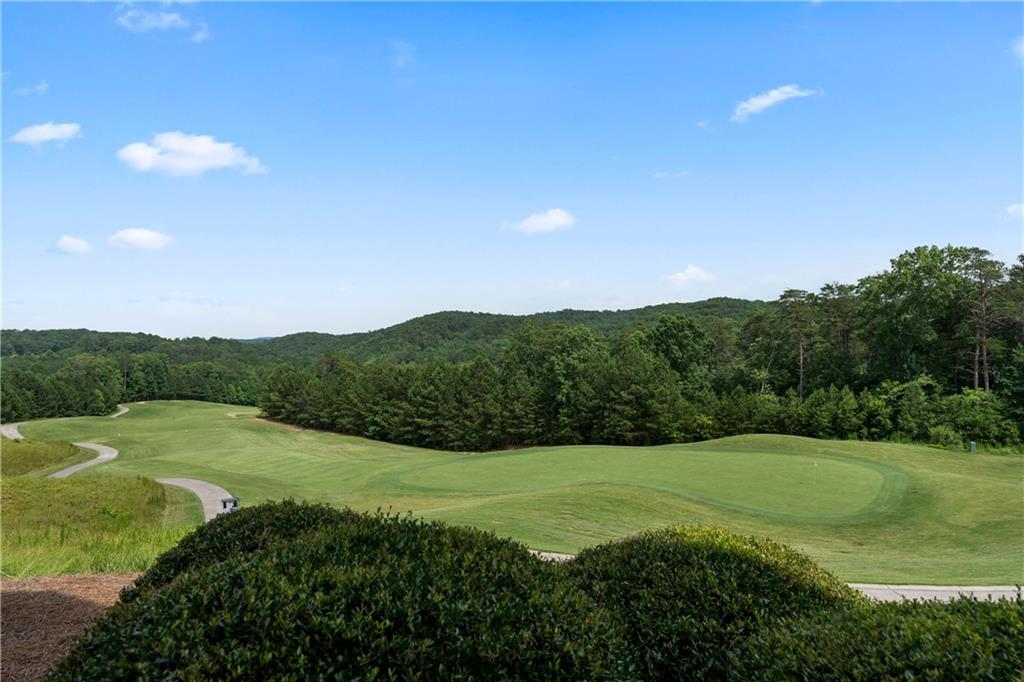 121 Waterview Court, Waleska, Georgia image 30