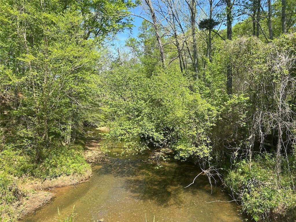 2633 Georgia Hwy 120 (485.53 Acres), Tallapoosa, Georgia image 13
