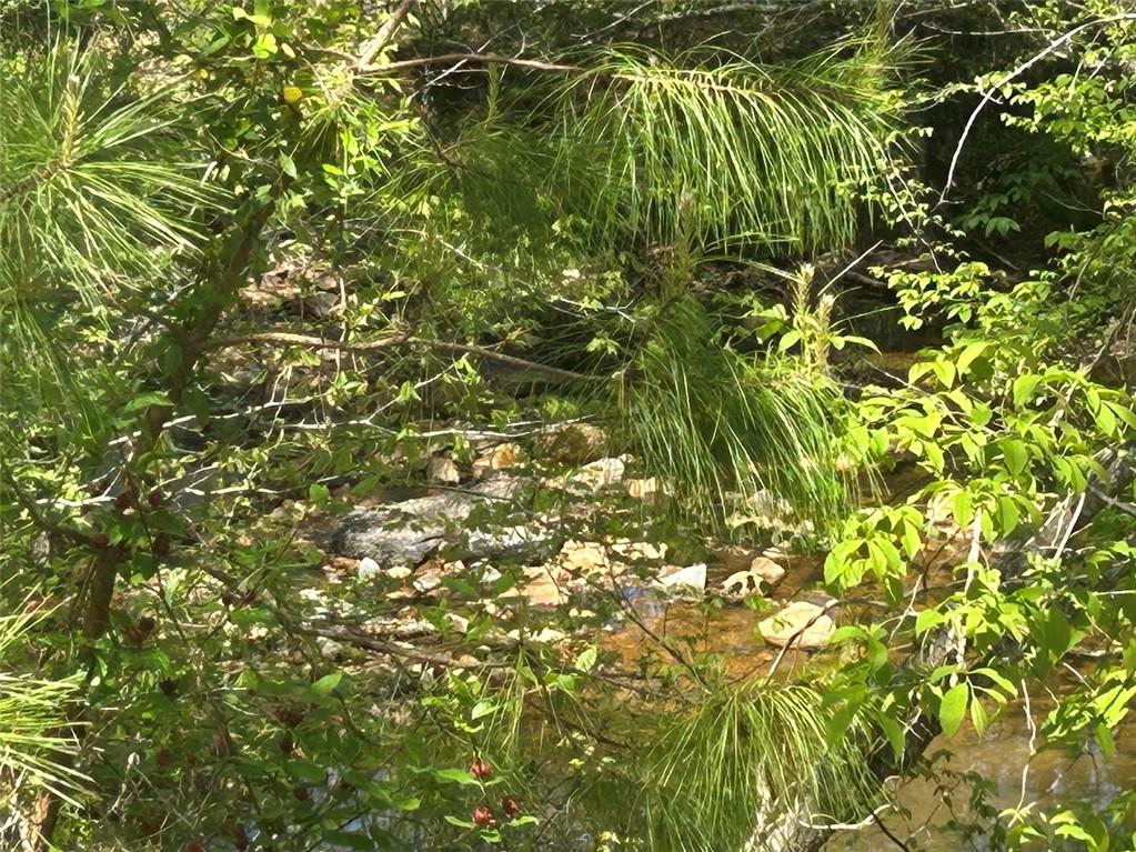 2633 Georgia Hwy 120 (485.53 Acres), Tallapoosa, Georgia image 16