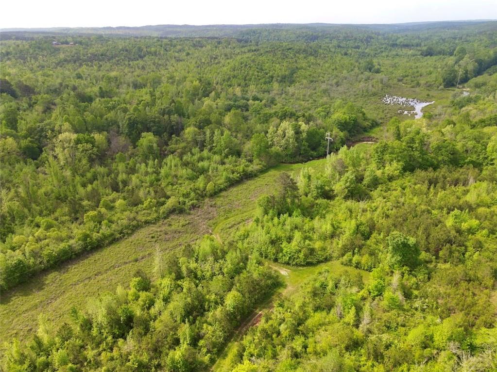 2633 Georgia Hwy 120 (485.53 Acres), Tallapoosa, Georgia image 27