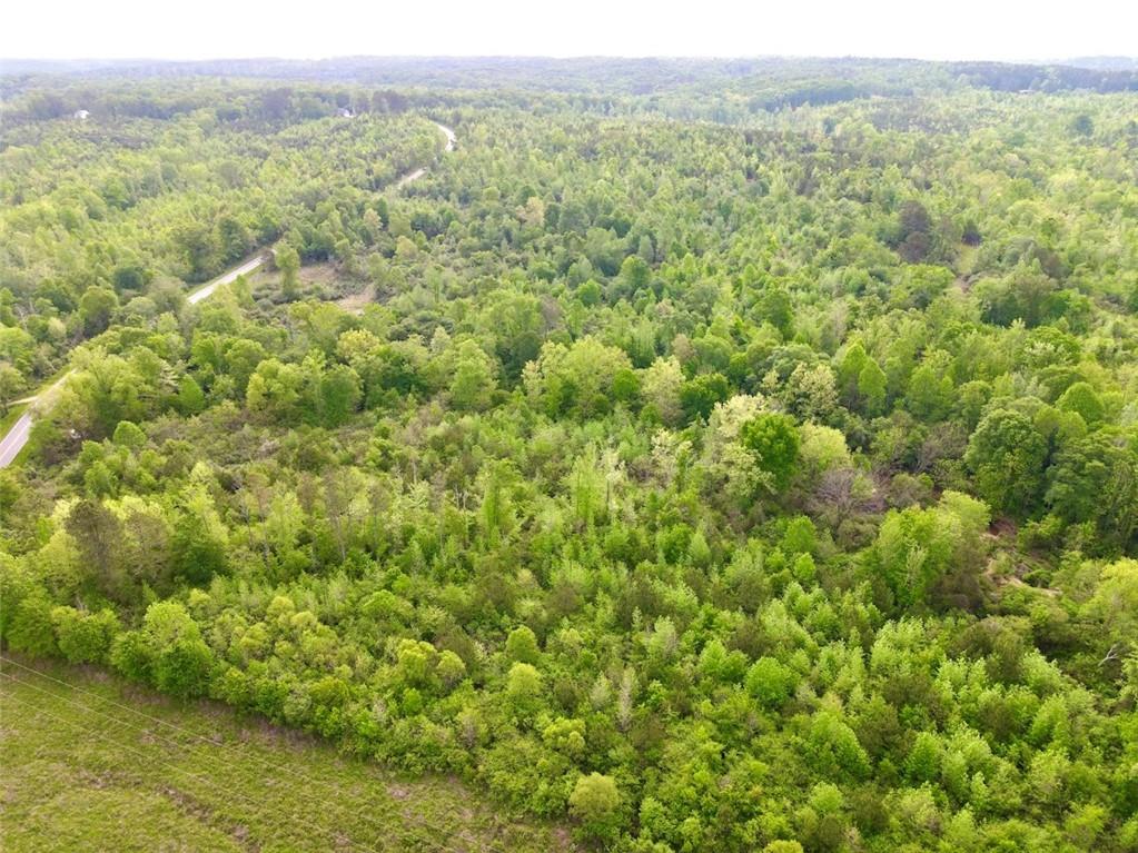 2633 Georgia Hwy 120 (485.53 Acres), Tallapoosa, Georgia image 11