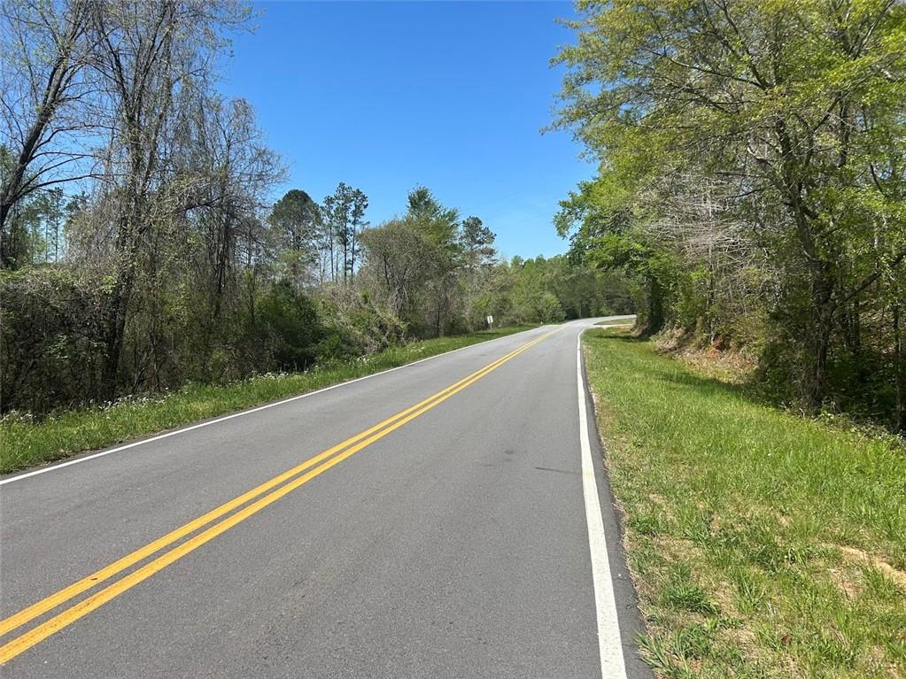 2633 Georgia Hwy 120 (485.53 Acres), Tallapoosa, Georgia image 3