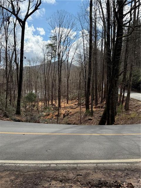 Vacant Land For Sale - 431 Tamarack Drive<br/> Jasper, GA 30143