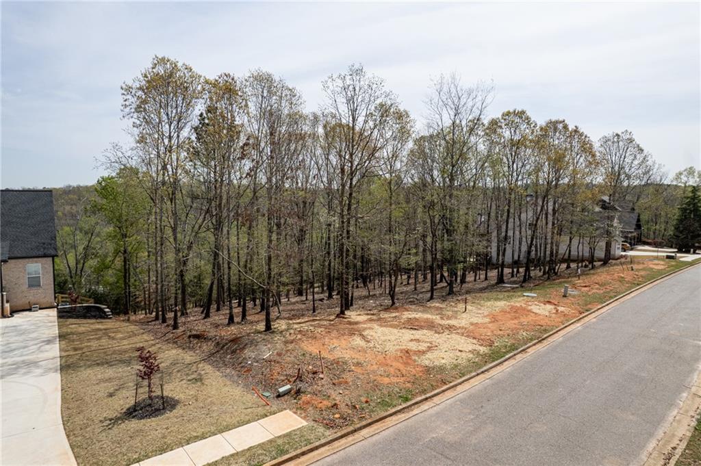 103 Talon Way, Ball Ground, Georgia image 1