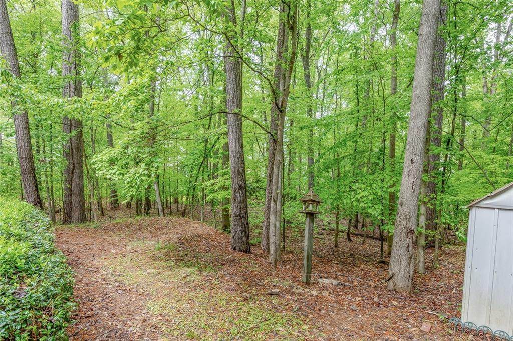 504 Little River Court, Woodstock, Georgia image 34
