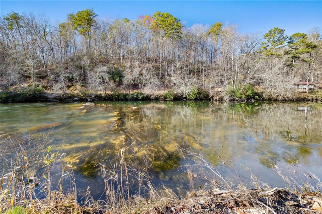 275 River Cliff Drive, Cornelia, Georgia image 26