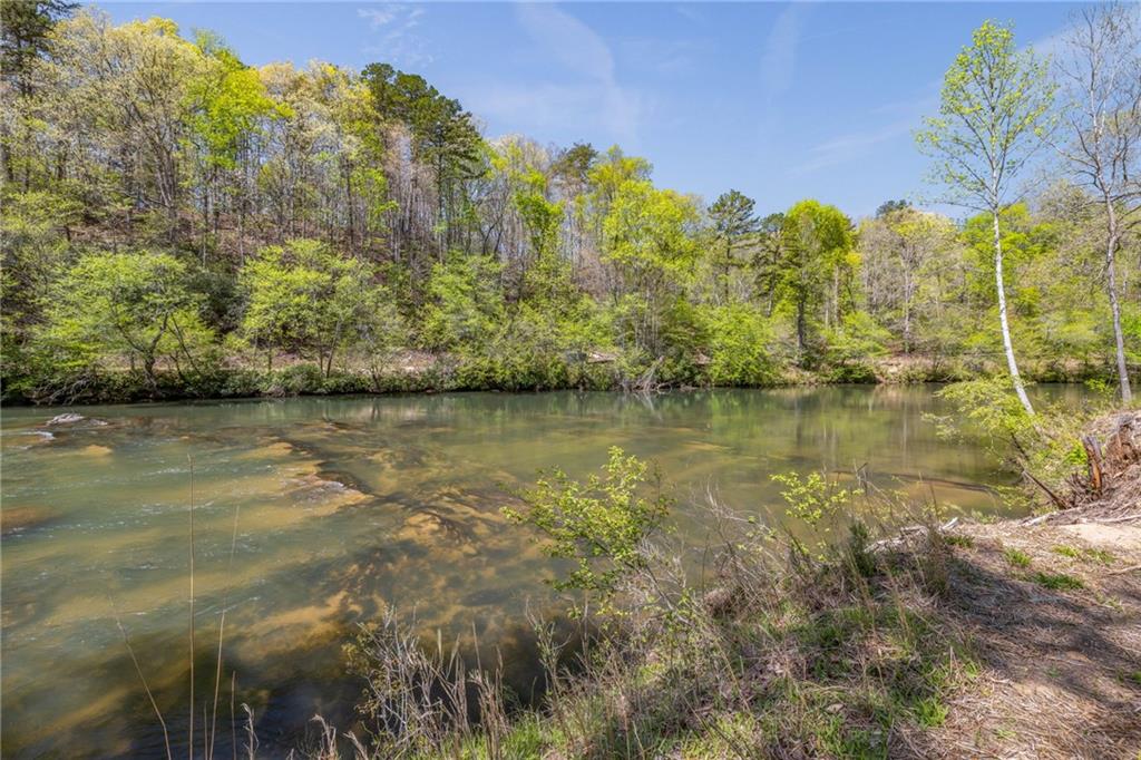 275 River Cliff Drive, Cornelia, Georgia image 34