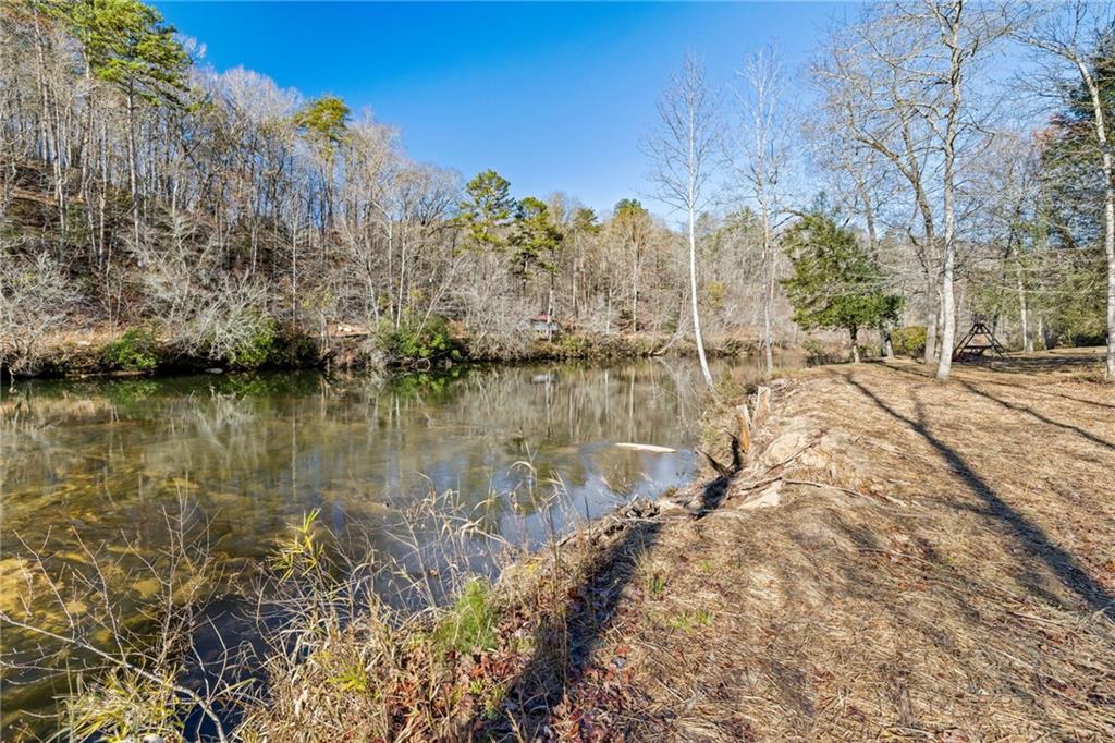 275 River Cliff Drive, Cornelia, Georgia image 25