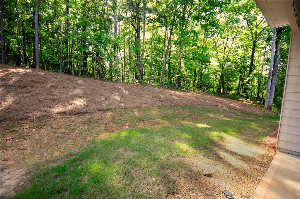 8145 Lakeview Parkway, Villa Rica, Georgia image 26