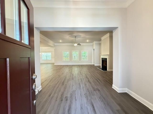 3370 Trevi Trail
