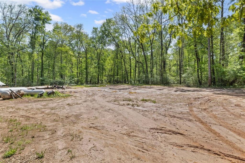 175 Springvalley Way, Stockbridge, Georgia image 34