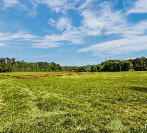 Vacant Land For Sale - 114 Palisade Drive<br/> Rydal, GA 30171