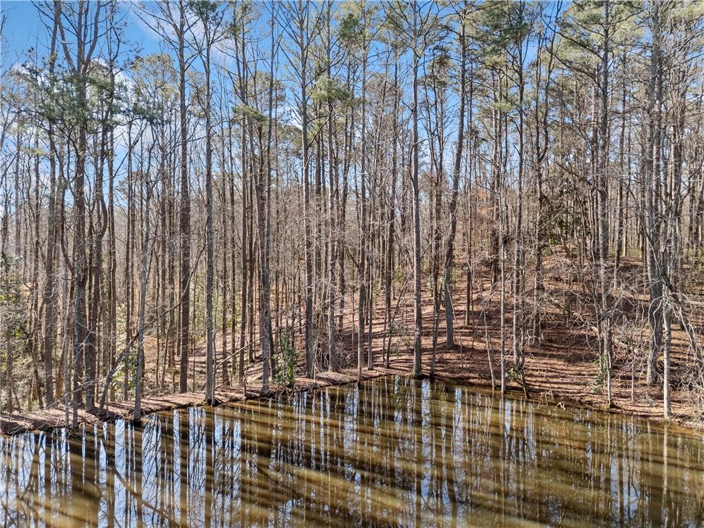 428 Dogwood Drive, Canton, Georgia image 6