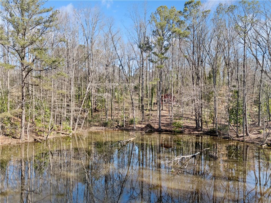 428 Dogwood Drive, Canton, Georgia image 5