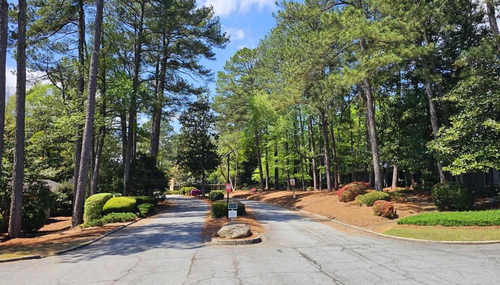 2929 Torreya Way, Marietta, Georgia image 32