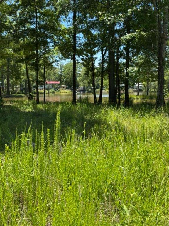 LOT 6 COUNTY ROAD 182