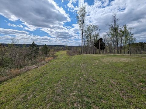 Unimproved Land in Fairmount GA 111 Townsend Teague Road.jpg