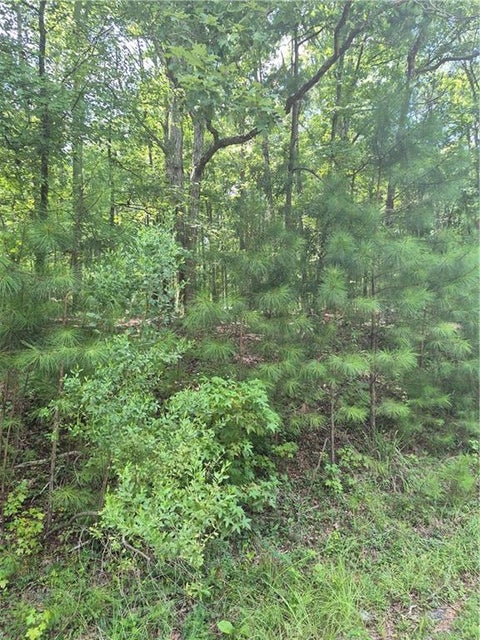 Vacant Land For Sale - 441 S Steel Bridge Road<br/> Putnam County, Eatonton, GA 31024