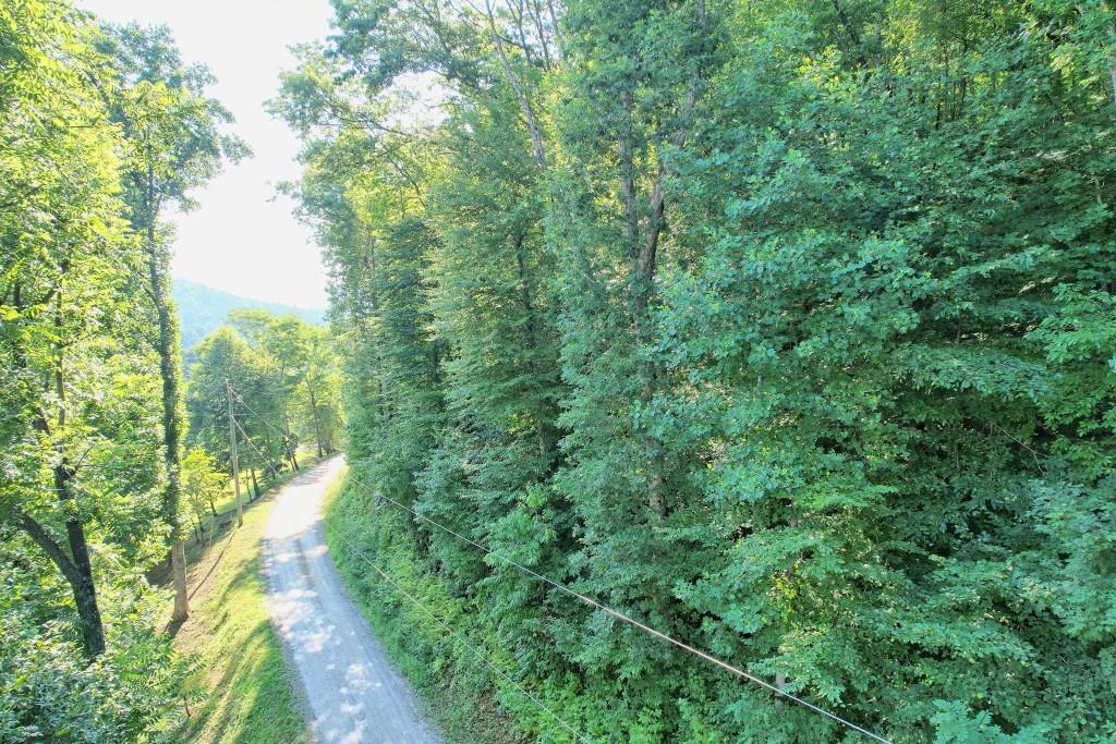 Ov Justus Road, Rabun Gap, Georgia image 11