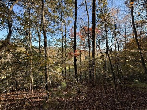 0 OV Justus Road Rabun Gap GA 30568