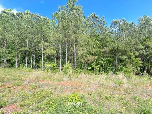 172 OAKDALE WAY, TEMPLE, GA 30179 - Image 245f8bb3e5a1f1ca3e818e20b8feac68/3357799595