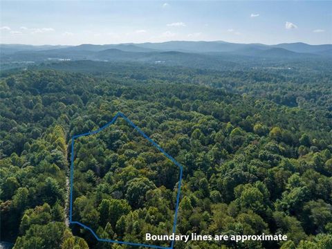 A home in Ellijay