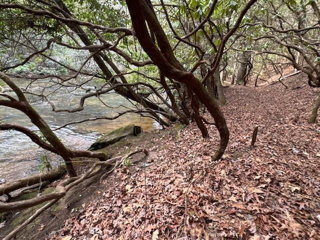0 Horseshoe Bend Road