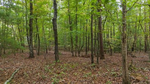 Vacant Land For Sale - Rider Road<br/> Dawsonville, GA 30534