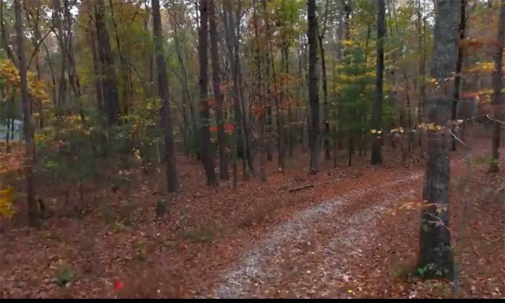 Rider Road, Dawsonville, Georgia image 3