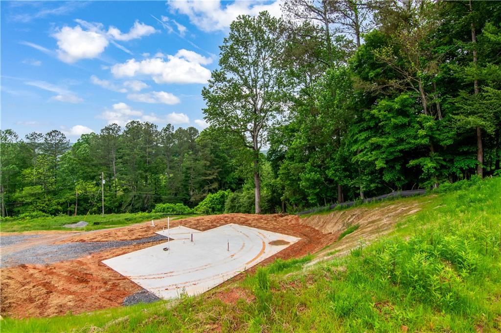 196 Mountain Trace, Ellijay, Georgia image 9