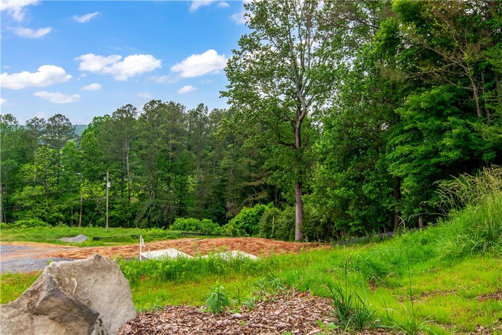 196 Mountain Trace, Ellijay, Georgia image 15