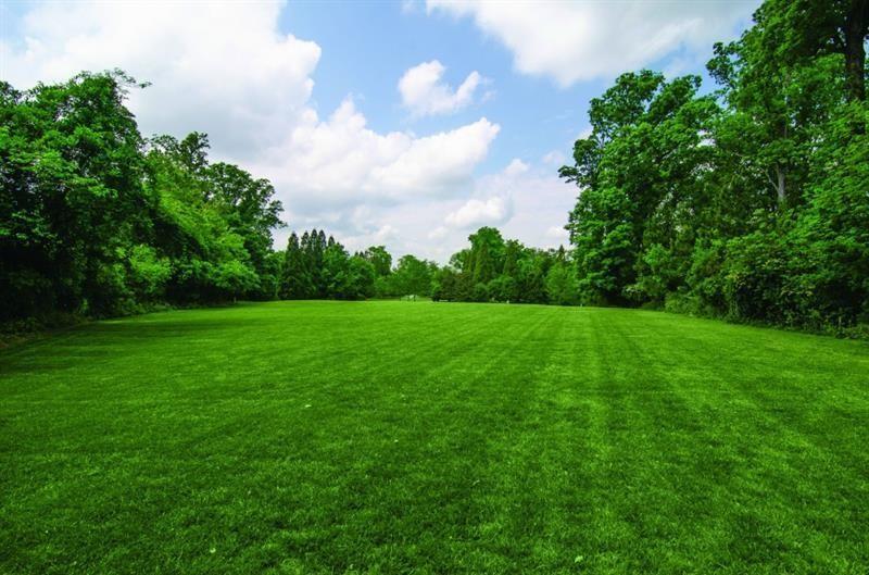 Buckhead - Residential