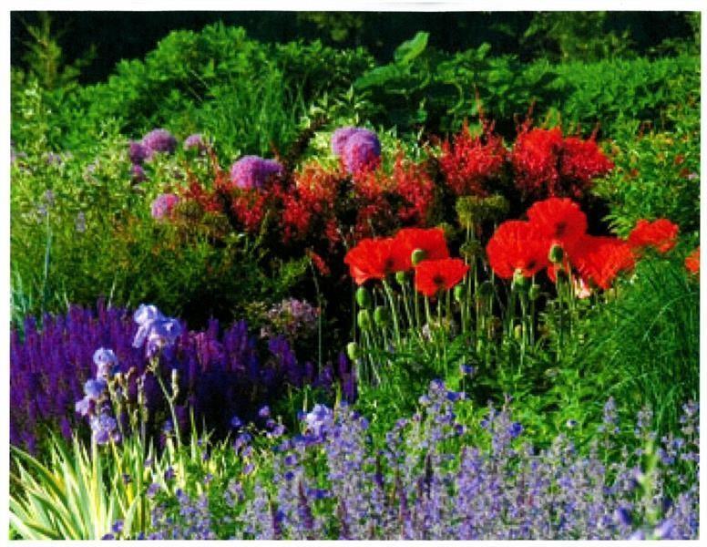 Buckhead - Residential