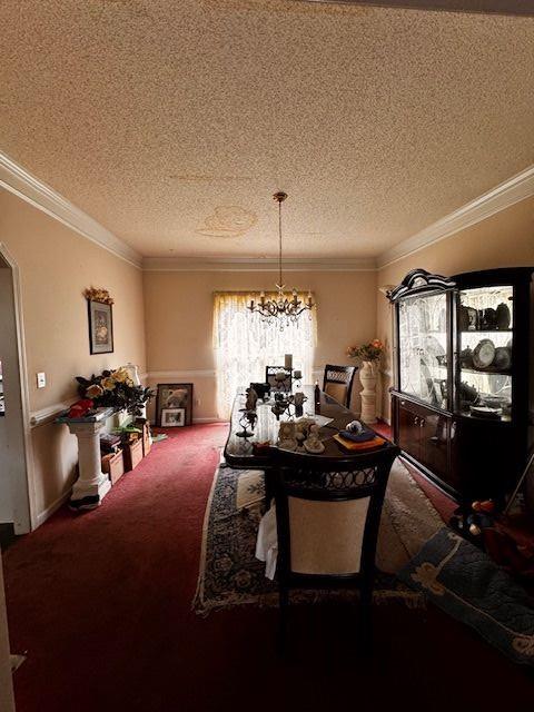 305 Savannah Place