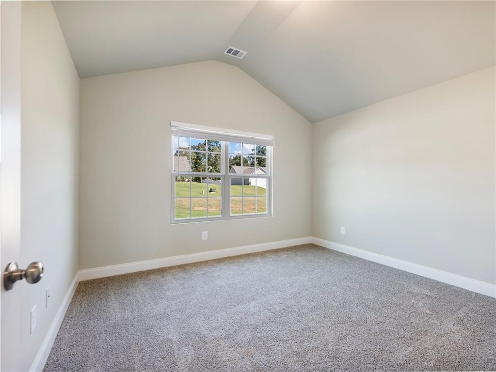290 Rachel Lane, Hartwell, Georgia image 30