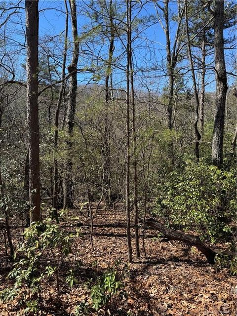 Vacant Land For Sale - 5504 Red Fox Drive<br/> Big Canoe, GA 30143