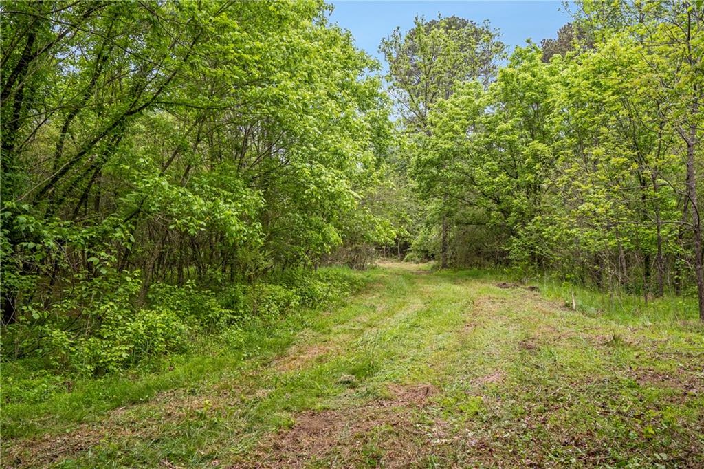 Mountain Road, Alpharetta, Georgia image 6