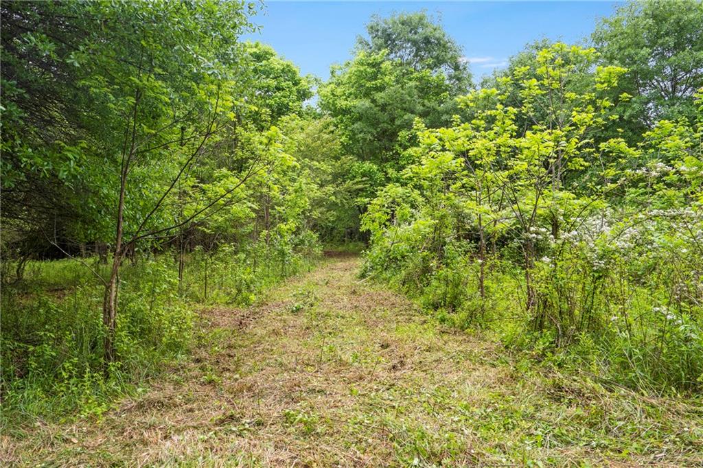 Mountain Road, Alpharetta, Georgia image 13