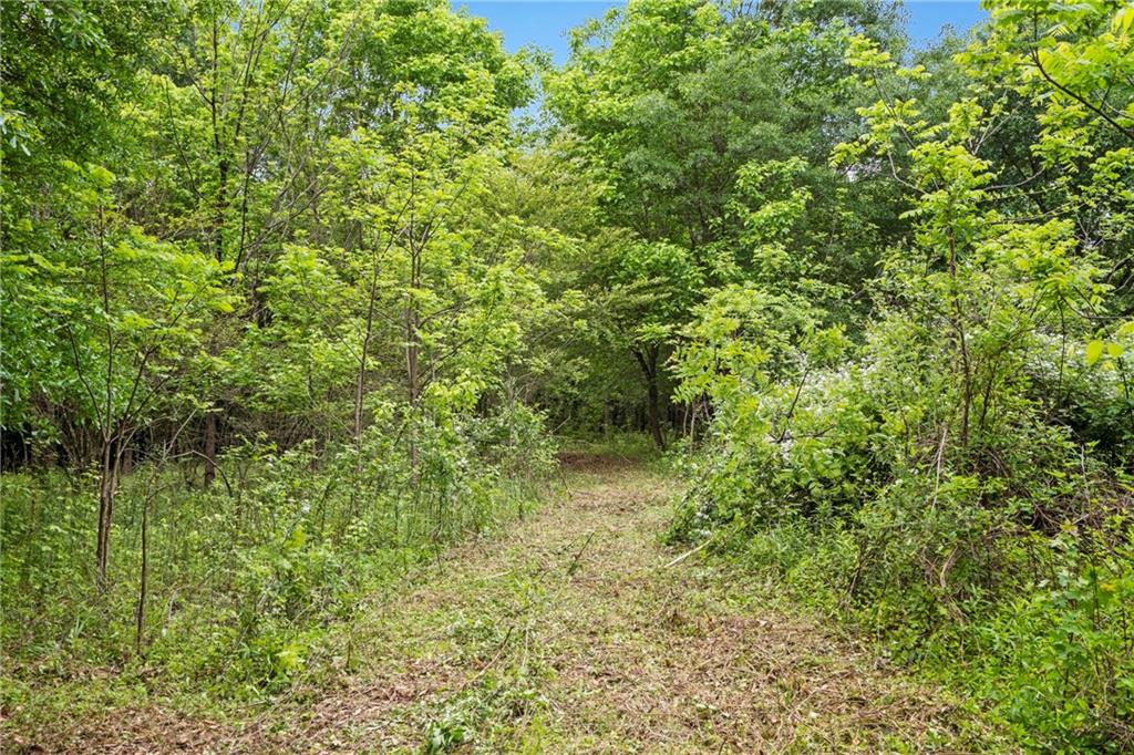 Mountain Road, Alpharetta, Georgia image 14