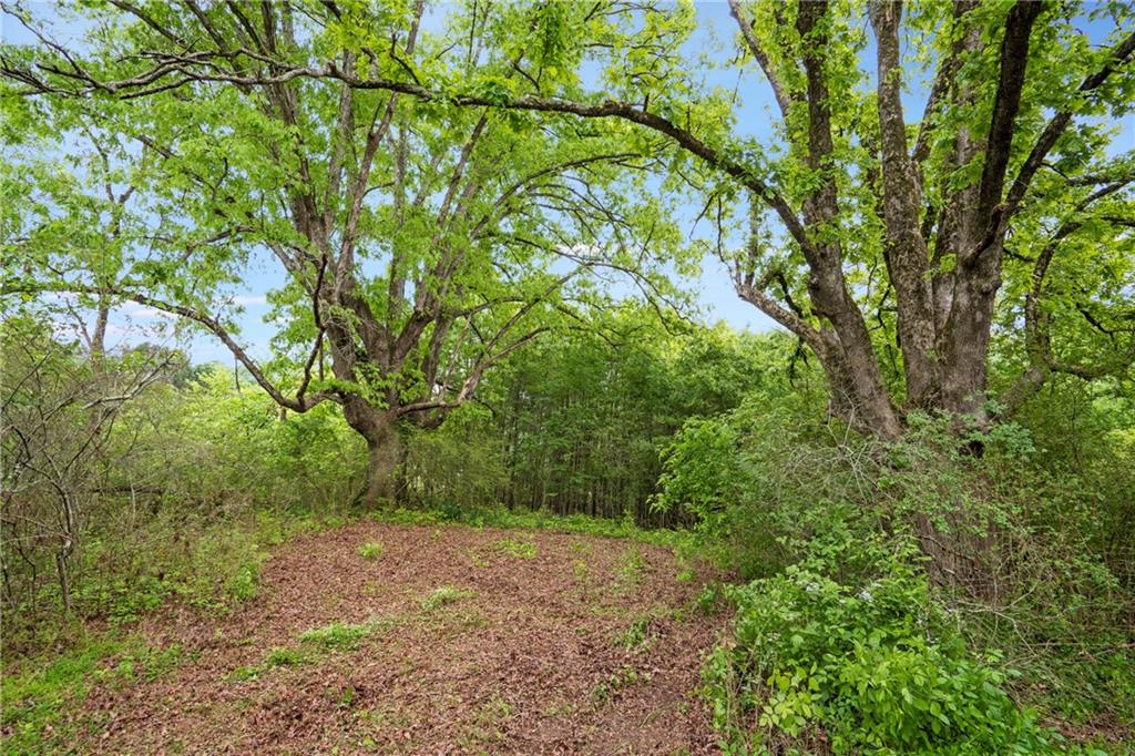 Mountain Road, Alpharetta, Georgia image 10