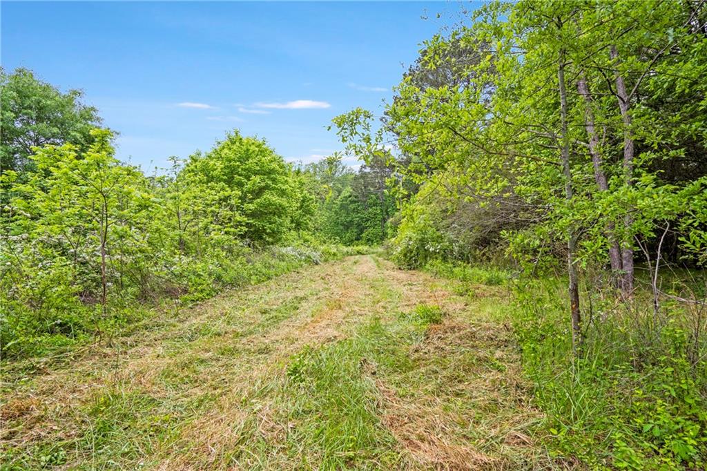 Mountain Road, Alpharetta, Georgia image 12